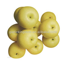 Golden pear rich in Vc,Vb,good taste and shape pear with best price pear